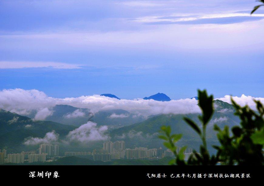 解救金刚鹦鹉